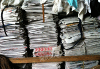 山东常年回收废报纸