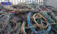 嘉兴长期大量回收废电缆