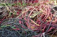 大量回收电线电缆 铜线