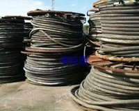 Shandong specializes in recycling waste wires and cables