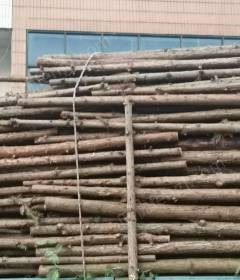 湖北襄阳水平木瓦条植树杆出售