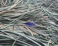 Zhejiang recycles 30 tons of waste cables at a high price