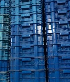 北京大兴区出售错位塑料筐600个，高30长64宽42