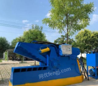 江苏南京出售鳄鱼剪铁机液压250吨废钢废铁钢筋剪断机配输送机剪板机
