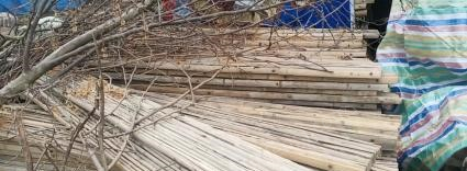 湖北荆州一批刚拆下来2米竹跳板出售