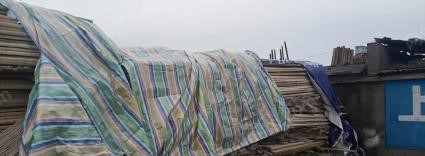 湖北荆州一批刚拆下来2米竹跳板出售