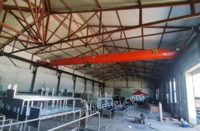 黑龙江齐齐哈尔出售天吊（跨度16米，轨道长28米5吨吊，无缝钢管做支柱，上面是h钢 