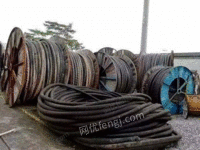 天津高价回收工厂电缆线一批