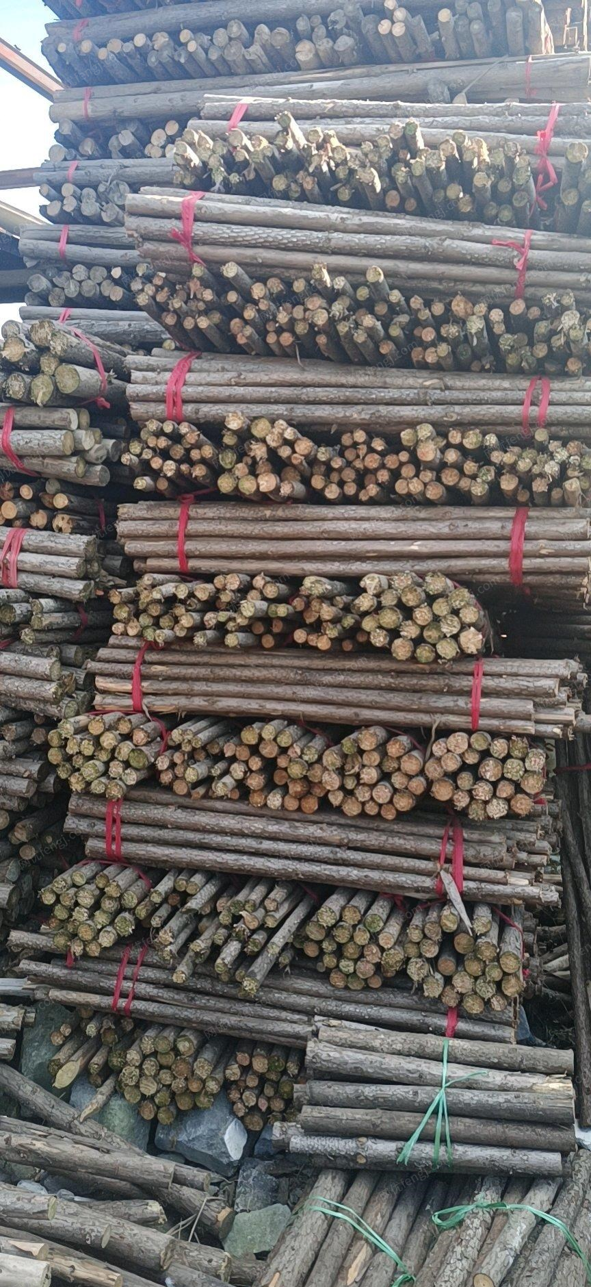 天津津南区出售杉木杆，松木杆，木方，模板