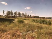 内蒙古自治区鄂尔多斯市达旗树镇210线东达电灰场路北土地出售(再次)网络处理招标