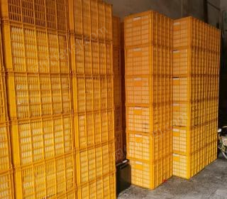 广西玉林出售全新塑料筐闲置，重五斤，内620*430*400