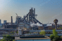 Nanjing purchased the bankrupt steel plant at a high price