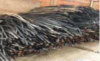A large number of waste cables are recycled in Shandong
