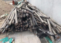 Recovery of scrapped copper core cables in Shijiazhuang