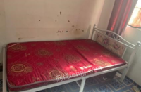 西藏拉萨单人床送床垫1.2米转让