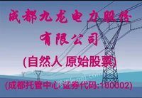 （股权）1000股成都九龙电力股份有限公司自然人股权网络处理招标