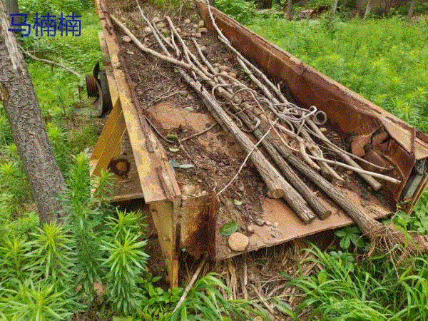 给料设备转让