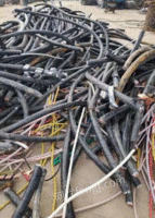 山东常年大量回收废旧电线电缆