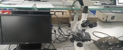 北京大兴区徕卡dfc490成像系统明美显微镜出售