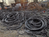 湖北地区高价回收高低压电缆线一批
