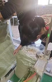 福建泉州转让发酵豆腐渣米糠玉米粉麦麸牡蛎钙粉海盐发酵剂双层袋子