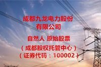 1000股成都九龙电力股份有限公司自然人股（股权）网络处理招标