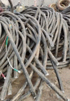 Guangdong recycles a large number of waste cables all the year round