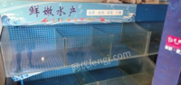 重庆沙坪坝区本人转行，3月份现做的渔缸，带恒温制冷设备九成新急出售