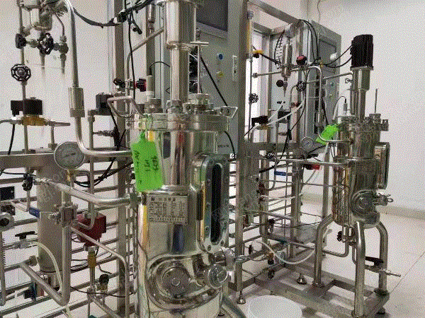 The factory processes a batch of biological fermentation tanks
