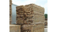 浙江温州出售建筑模板方木