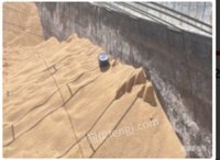 湖北武汉低价处理300吨豆粕，水湿受损， 有意联系