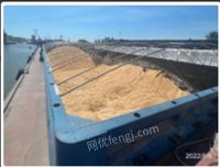 湖北武汉低价处理300吨豆粕，水湿受损， 有意联系