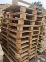 山东出售30吨废木托盘