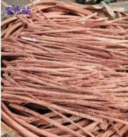 Foshan cash purchase 20 tons of scrap copper