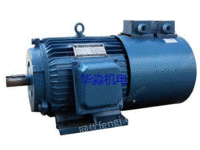 Professional maintenance and transformation of various high and low voltage large and medium-sized motors