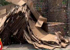 废纸箱纸管出售