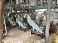 山东出售5000升真空耙式干燥机4台，不锈钢304材质