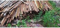 四川宜宾工程结束，出售10*10*400cm30立方方木，架管十几吨，Φ26钢丝绳十条