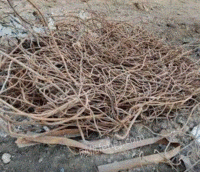 长期回收废钢筋 旧木方 多层板 工地下脚料