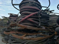Hebei recycles a batch of idle cables at a high price