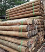 江西赣州出售防腐木，碳化木，油枕木一批