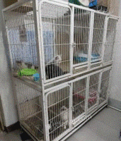 辽宁沈阳低价出售八成新繁育级猫笼子,高1700,长1600,厚700