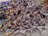 Recycling a batch of scrap iron scraps from factories at high prices in Jiujiang, Jiangxi Province