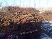 A large number of scrap iron scraps from factories have been recycled in Xi'an, Shaanxi Province for a long time