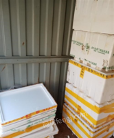 江西赣州出售泡沫箱，装百香果的那种，大的那种，有几百个，带盖子，有需要的来