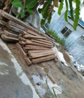 云南保山出售黑心木柱子8棵、挂房30多匹，可以建盖实木凉亭。