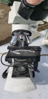 二手显微镜 奥林巴斯CX21显微镜 显微镜价格