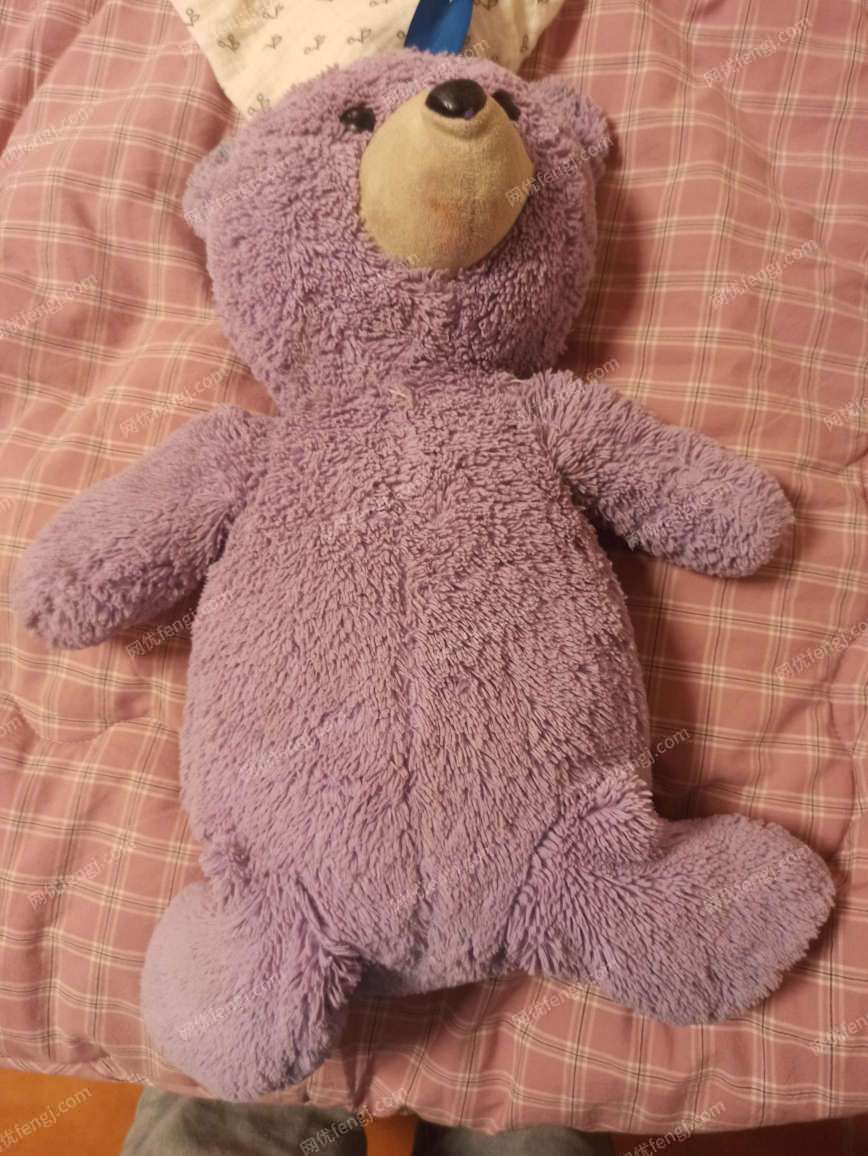 低价出售紫色的小熊