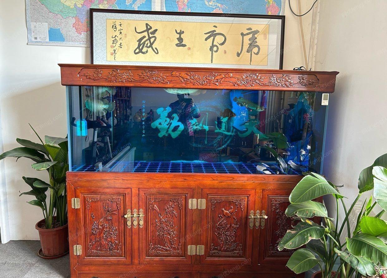 北京通州区低价出售自用实木大鱼缸200×70×155