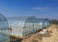 广西柳州因种植失败，二手温室蔬菜棚出售